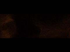 Pejabat Perusahaan Fadior